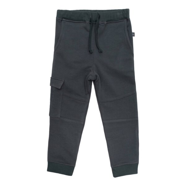 Alfred Cargo Pants Stormy Grey | AW21 Stormy grey Alfred bukser med lommer